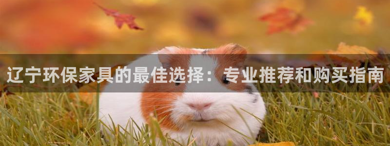 杏耀平台代理怎么赚钱快
