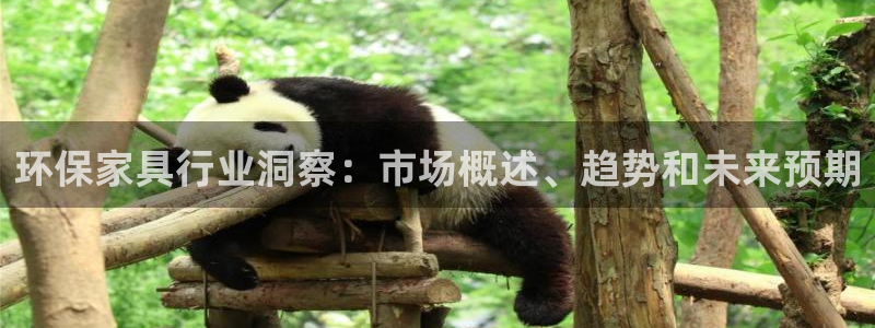 杏耀平台测速地址