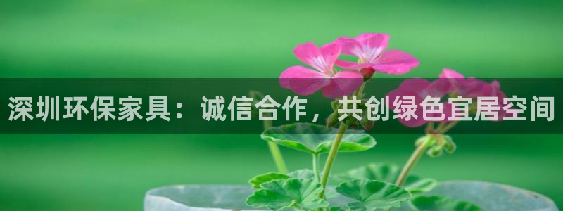 杏耀登陆电脑线路测速