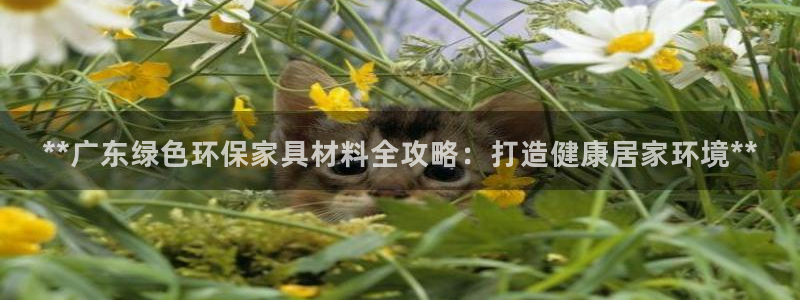 杏耀平台到底能玩吗