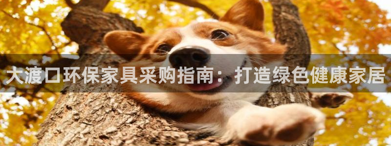 杏耀平台黑款