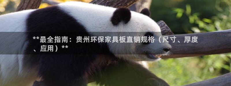 杏耀平台注册地址