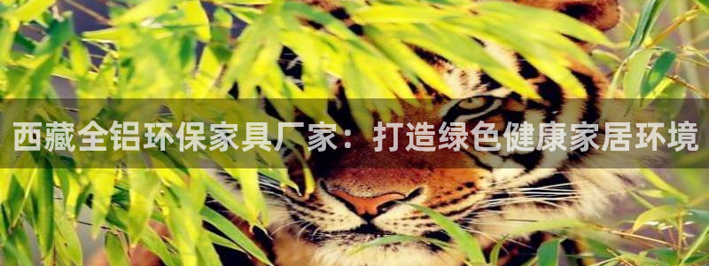 杏耀代理主管qq