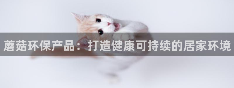 杏耀登陆