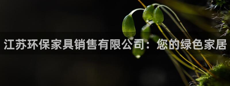杏耀代理注册开户