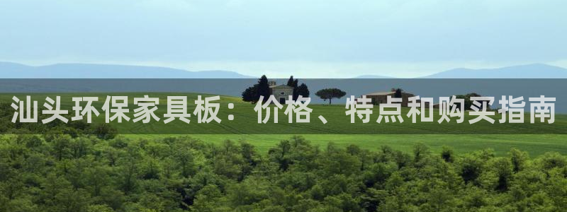 杏耀平台网站是什么