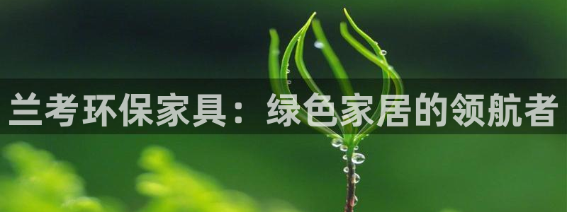 杏耀测速注册