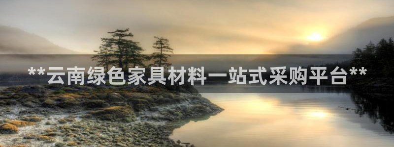 杏耀软件