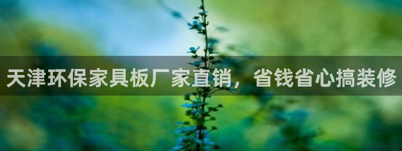 杏耀登入官网：天津环保家具板厂家直销，省钱省心搞装修