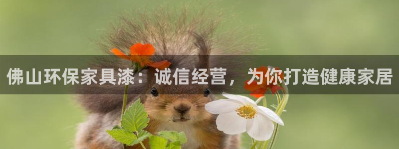 杏耀平台线路测试：佛山环保家具漆：诚信经营，为你打造健康家居