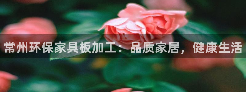 杏耀平台服务中心怎么样