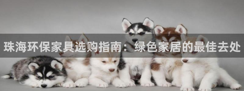 杏耀是什么平台：珠海环保家具选购指南：绿色家居的最佳去处
