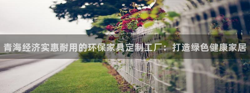 杏耀平台服务中心是干嘛的：青海经济实惠耐用的环保家具定制工厂