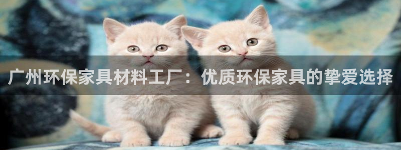 杏耀平台靠谱吗：广州环保家具材料工厂：优质环保家具的挚爱选择