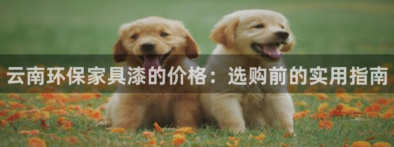 杏耀3代理