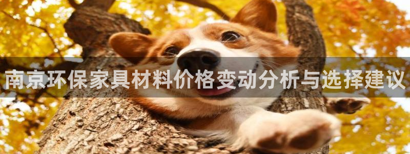 杏耀注册代理：南京环保家具材料价格变动分析与选择建议