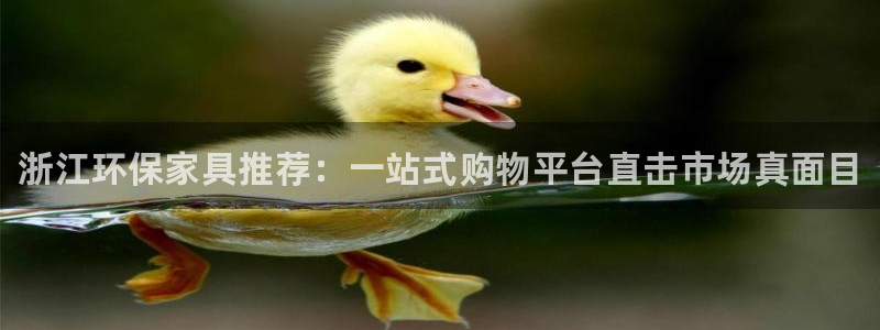 杏耀平台注册：浙江环保家具推荐：一站式购物平台直击市场真面目