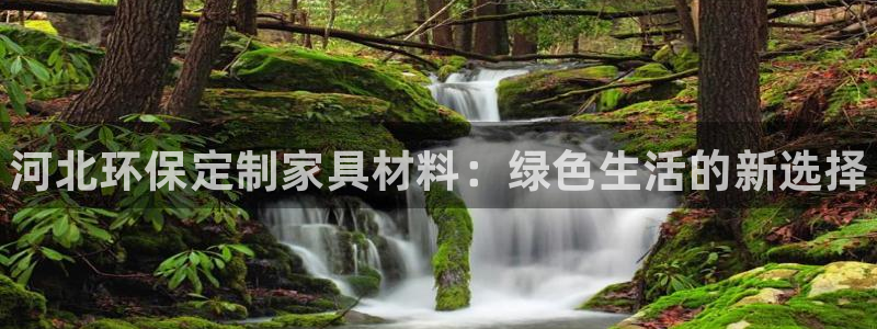 杏耀代理连接：河北环保定制家具材料：绿色生活的新选择