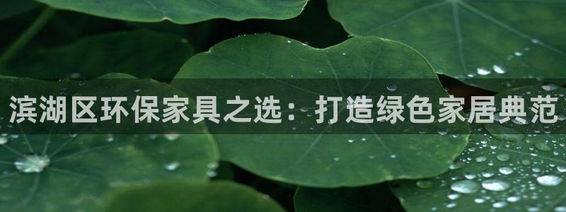 杏耀总代理：滨湖区环保家具之选：打造绿色家居典范