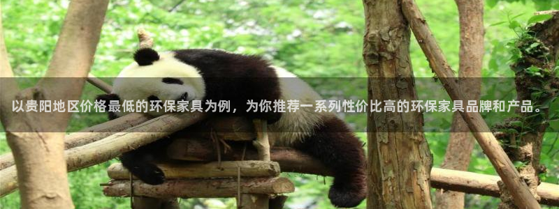 杏耀注册主管：以贵阳地区价格最低的环保家具为例，为你推荐一系