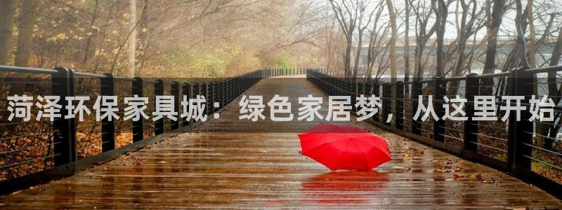 杏耀官网登陆：菏泽环保家具城：绿色家居梦，从这里开始