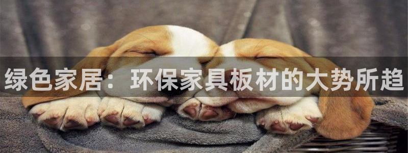 杏耀平台正规么：绿色家居：环保家具板材的大势所趋