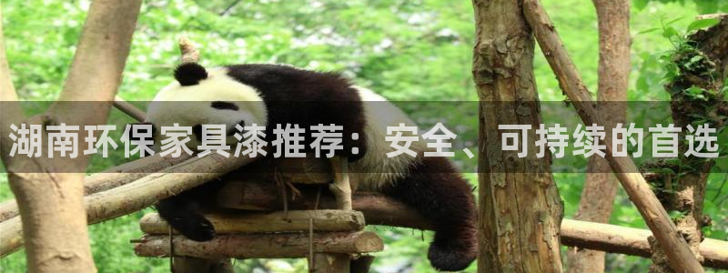 杏耀平台线路测试：湖南环保家具漆推荐：安全、可持续的首选