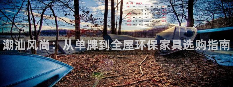 杏耀注册登入：潮汕风尚：从单牌到全屋环保家具选购指南