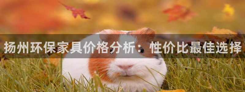 杏耀注册网址：扬州环保家具价格分析：性价比最佳选择