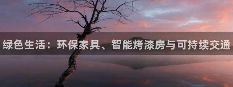 杏耀平台的专用通道：绿色生活：环保家具、智能烤漆房与可持续交