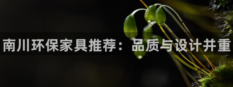 杏耀平台代理登录网址：南川环保家具推荐：品质与设计并重